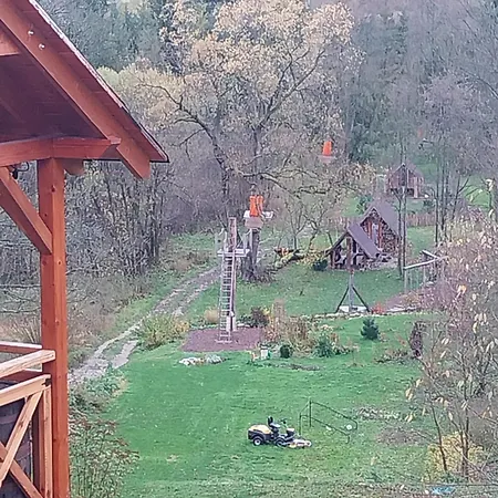 L12 * بيالكا تاترزانسكا